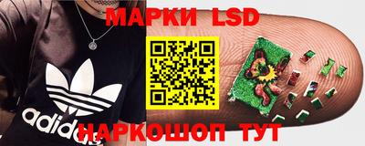 МДПВ Лесосибирск