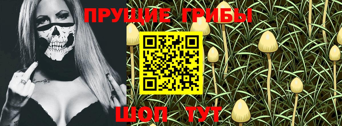 Соль-Илецк  Галлюциногенные грибы Psilocybe  Вход с VPN 